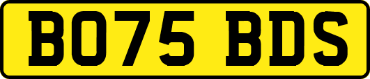 BO75BDS