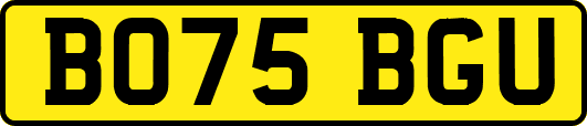 BO75BGU