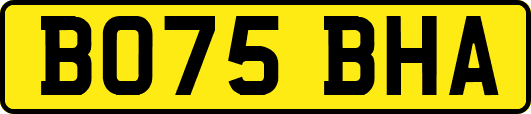BO75BHA