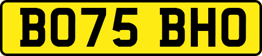 BO75BHO