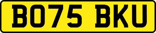 BO75BKU