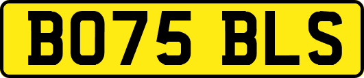 BO75BLS