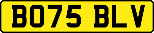 BO75BLV