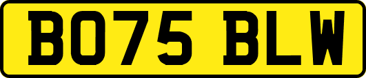 BO75BLW