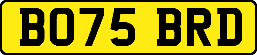 BO75BRD
