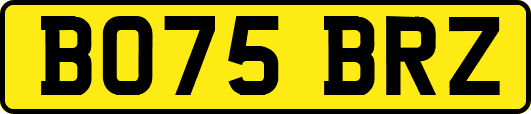 BO75BRZ
