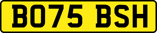 BO75BSH