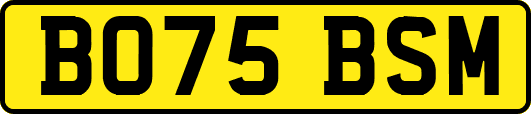 BO75BSM