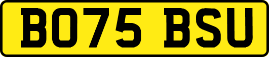 BO75BSU