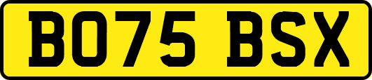 BO75BSX