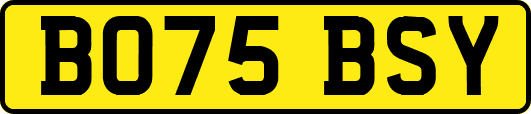 BO75BSY