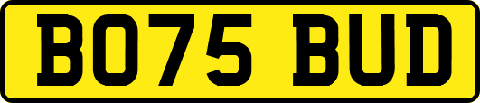 BO75BUD