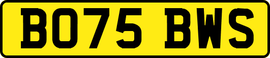 BO75BWS