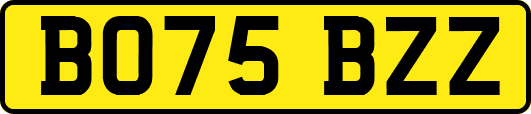 BO75BZZ