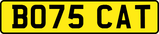 BO75CAT