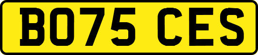 BO75CES