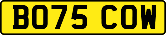 BO75COW