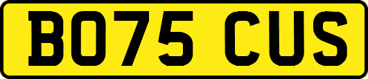 BO75CUS