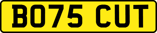 BO75CUT