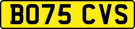 BO75CVS