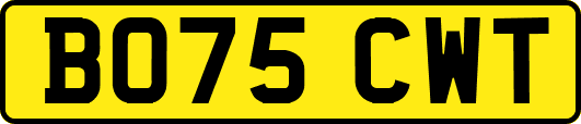 BO75CWT