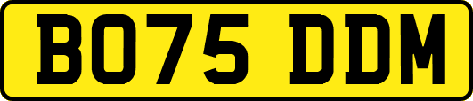BO75DDM