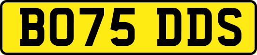 BO75DDS