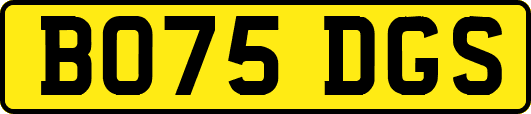 BO75DGS