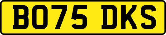 BO75DKS