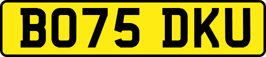 BO75DKU
