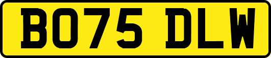 BO75DLW