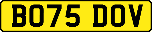 BO75DOV