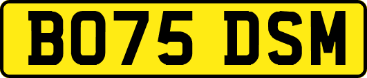 BO75DSM