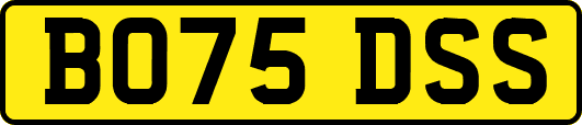 BO75DSS
