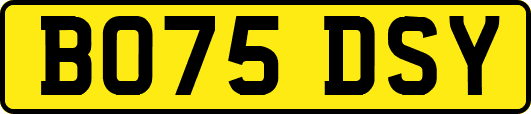 BO75DSY