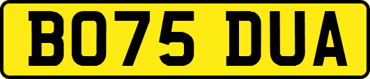 BO75DUA