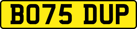 BO75DUP