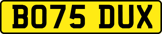 BO75DUX