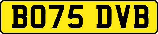 BO75DVB