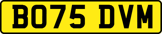BO75DVM