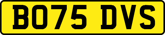 BO75DVS