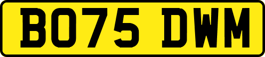 BO75DWM