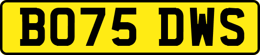 BO75DWS