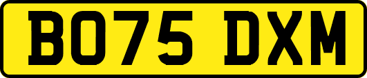 BO75DXM