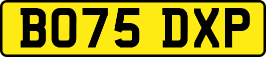 BO75DXP