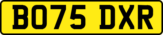 BO75DXR