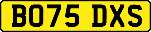 BO75DXS