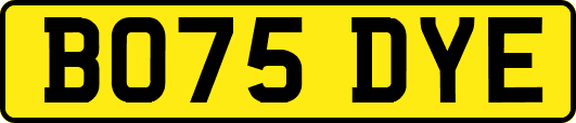 BO75DYE