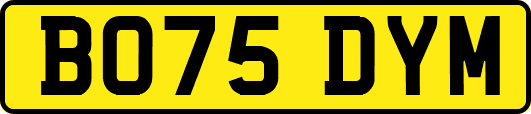 BO75DYM