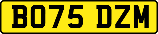 BO75DZM